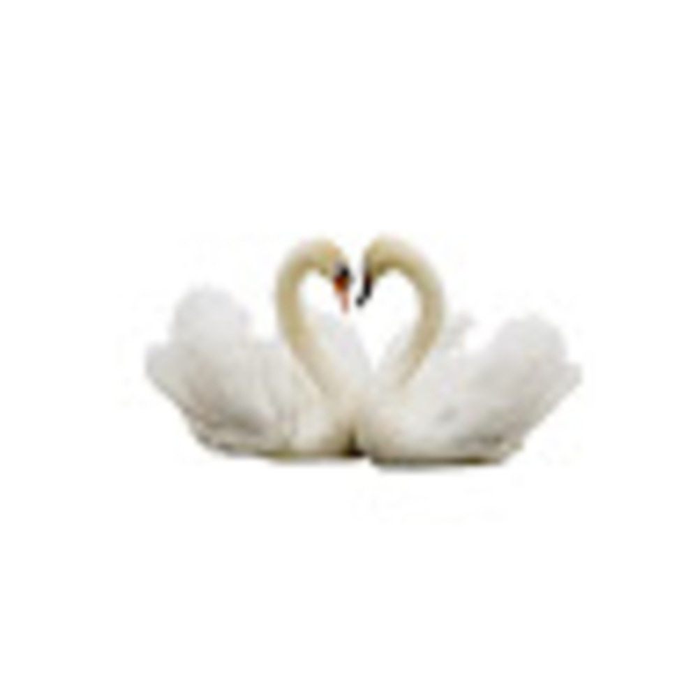 Meet your Posher, Ivan